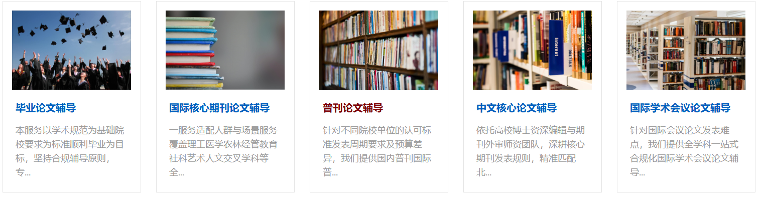 一对一科研论文辅导