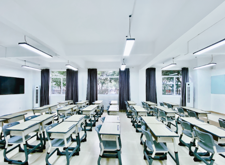 新学高考报名条件