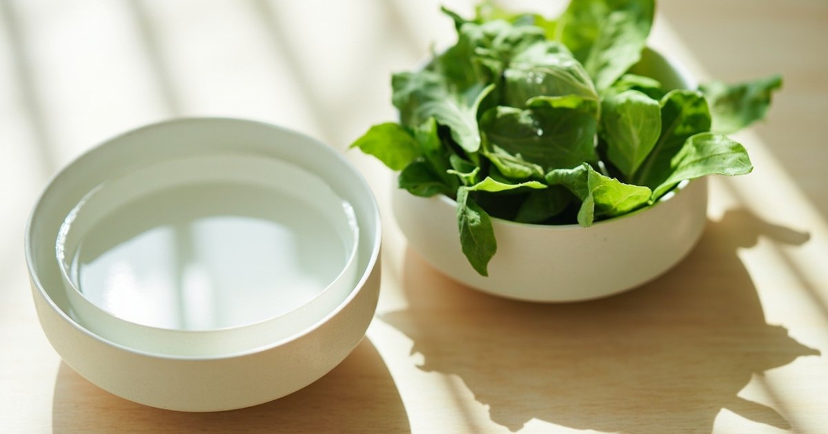 轻断食和辟谷有什么区别?北京自然见喜静修疗愈一次讲明白