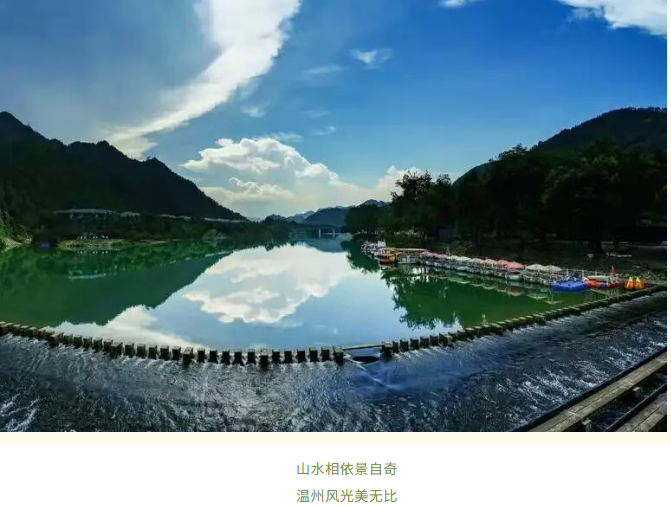 齐善鸿:10月28-31日问道温州《道解坛经》3