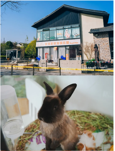 国庆营千岛湖亲子水陆狂欢营套餐