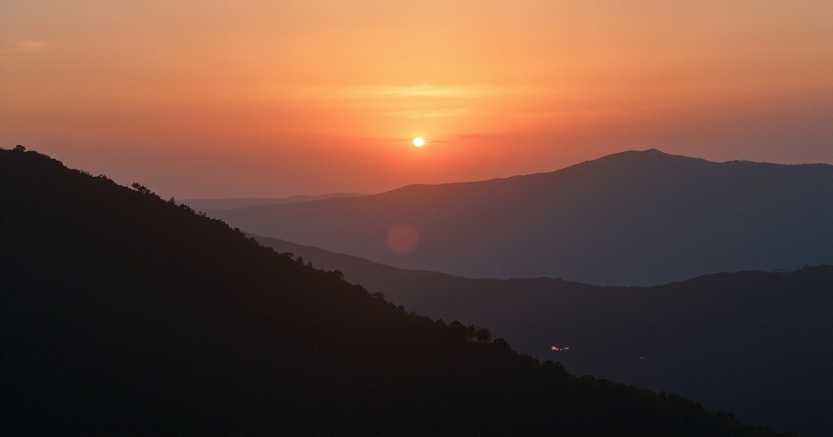 阳气精气神能自己对照短视频练吗?刘圆印排毒补气班4到7天巩固节奏怎么安排