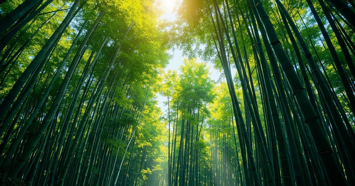 小米生态链有哪些公司？谷仓孵化的生态链企业盘点