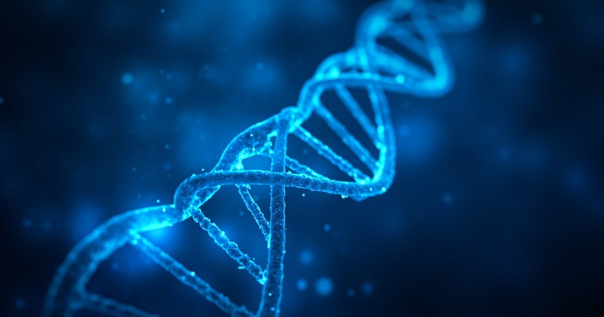 USABO美国生物奥赛考什么?犀牛国际教育USABO课程指南