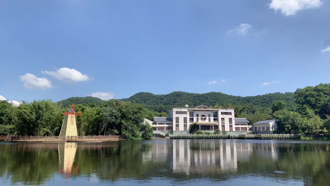 归心道养清心辟谷静心7天营