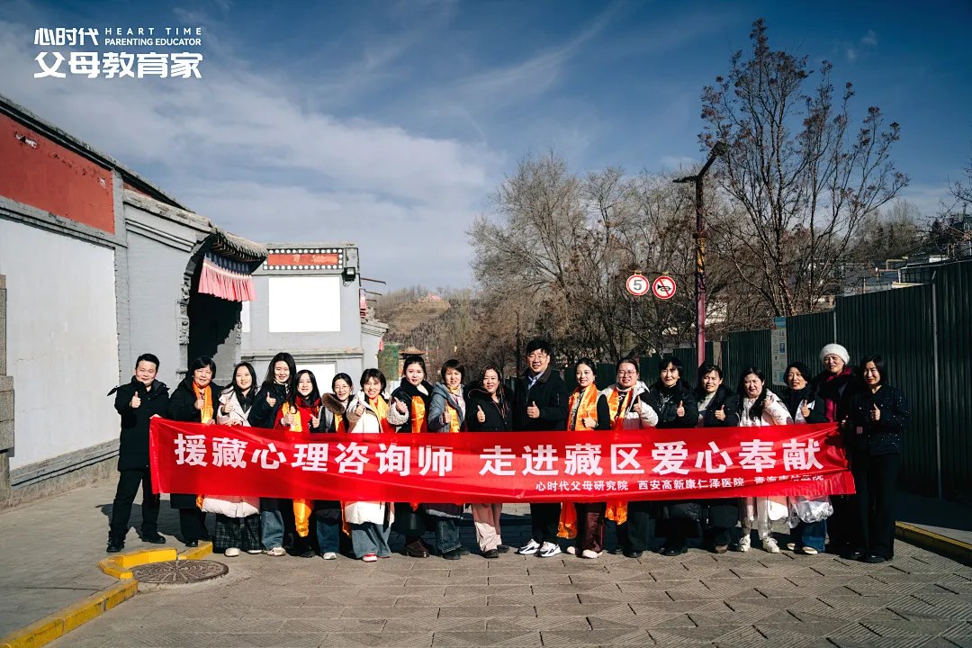 张兆鹏心理咨询课堂交流|附心时代父母张冉、格桑泽仁、徐西森、王涌勇、Mary、陈彦东2026年10月23—25日郑州密训