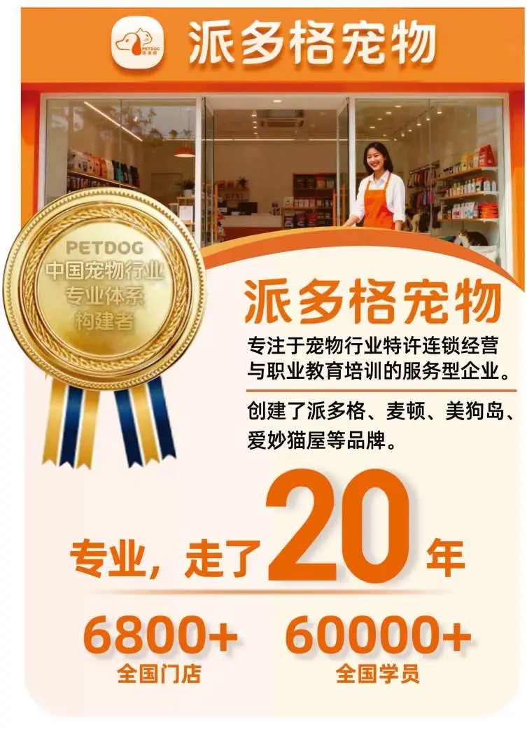 派多格CB品牌创业班