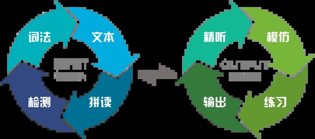 平和英语村珠海成人全日制纯英语课堂:分级课程、每日课表与浸泡式学习体验