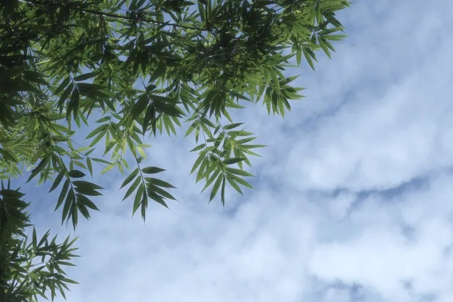 武当玄境辟谷营体验与收费说明：7天8980元、14天12980元及复训安排
