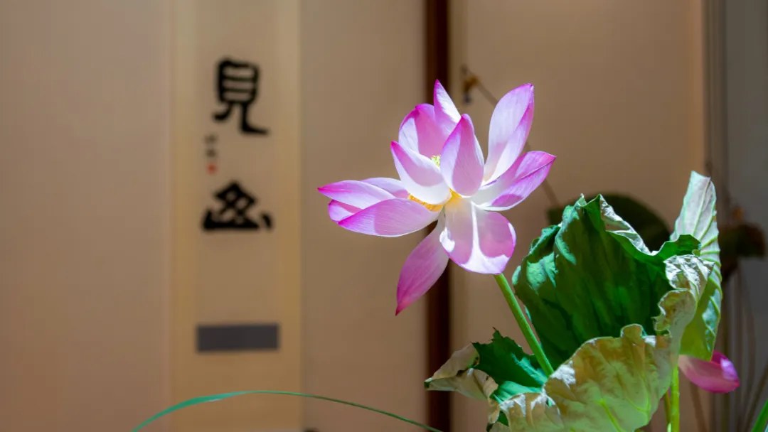 九州书院上海顾村公园宋代美学空间:培训、团建及会议场地容量与配套介绍