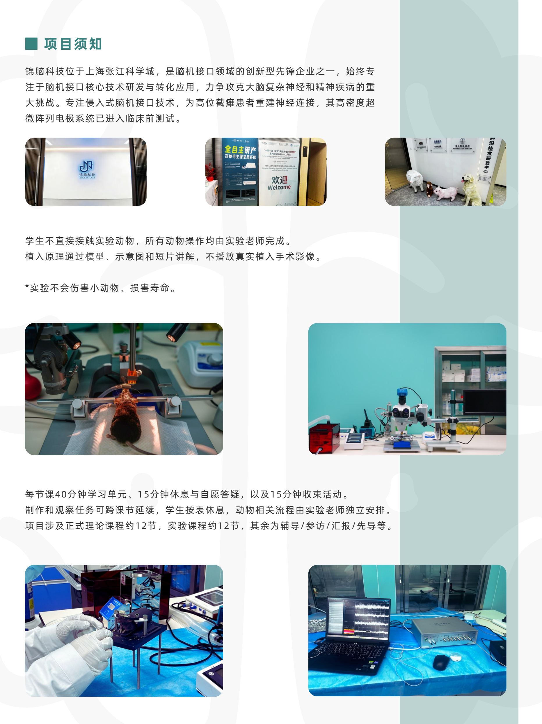 生命科学探索侵入式脑机接口与神经生物学圣诞营