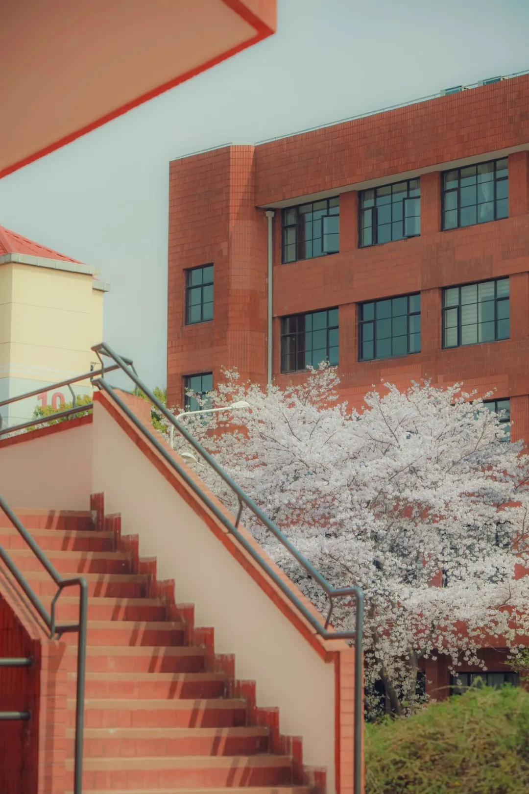 上海交通大学新媒体与全域增长高级管理研修班