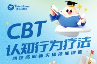 CBT认知行为疗法
