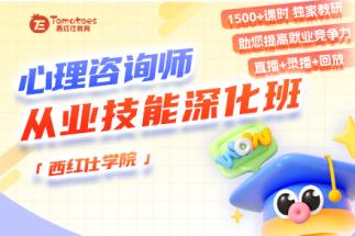 心理咨询师从业技能深化班