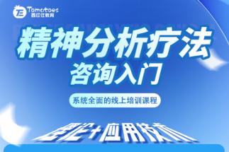 精神分析疗法咨询入门