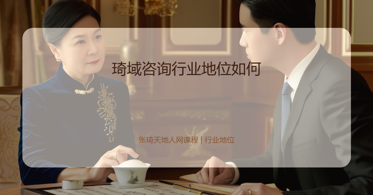 琦域咨询行业地位如何